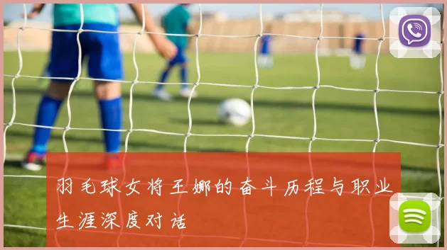 羽毛球女将王娜的奋斗历程与职业生涯深度对话